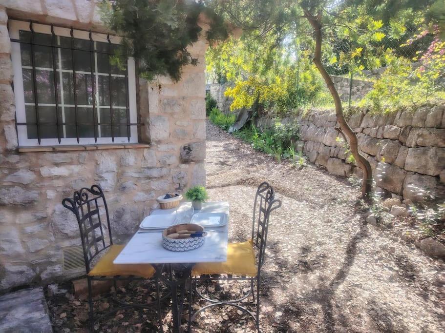 Domaine Des Petites Soeurs A 800M Du Centre Historique Avec 5200M2 De Parc Arbore ヴァンス エクステリア 写真