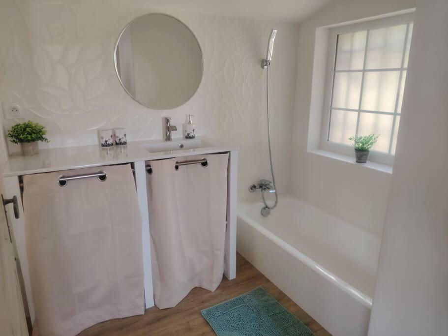 Domaine Des Petites Soeurs A 800M Du Centre Historique Avec 5200M2 De Parc Arbore ヴァンス エクステリア 写真