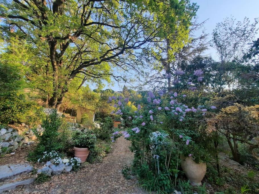 Domaine Des Petites Soeurs A 800M Du Centre Historique Avec 5200M2 De Parc Arbore ヴァンス エクステリア 写真