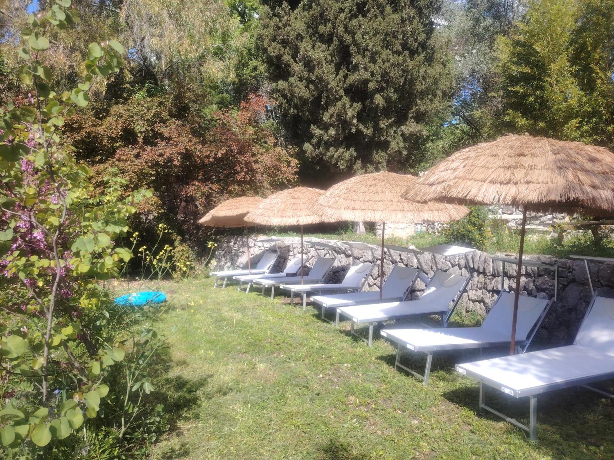 Domaine Des Petites Soeurs A 800M Du Centre Historique Avec 5200M2 De Parc Arbore ヴァンス エクステリア 写真